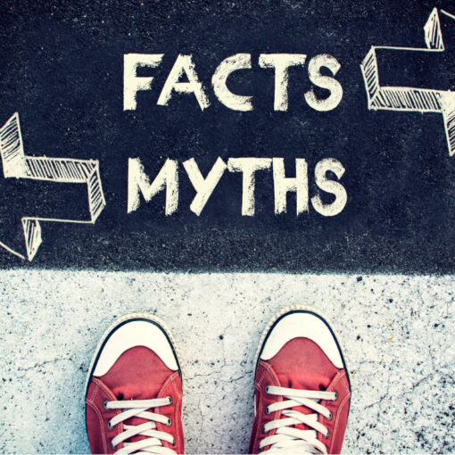 fakten und Mythen
